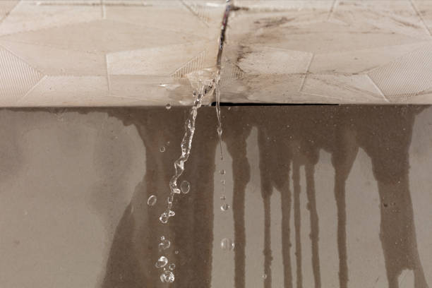 Professional Flood Damage Cleanup technician working in Dalbo, MN